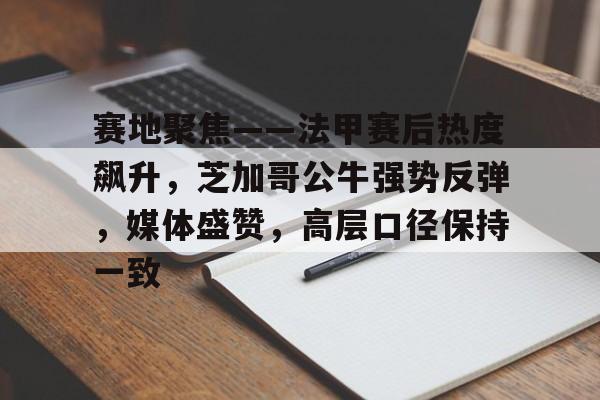 赛地聚焦——法甲赛后热度飙升，芝加哥公牛强势反弹，媒体盛赞，高层口径保持一致的简单介绍