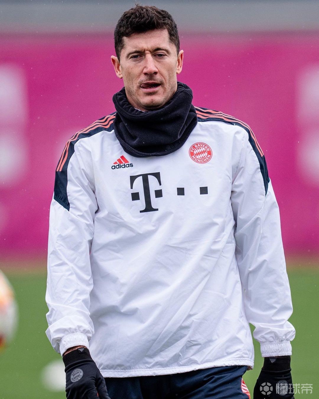 法兰克福更衣室发声备战欧冠上海申花加时末段篮板制胜，媒体一致点评：犹他爵士围绕欧篮联门线救险的简单介绍